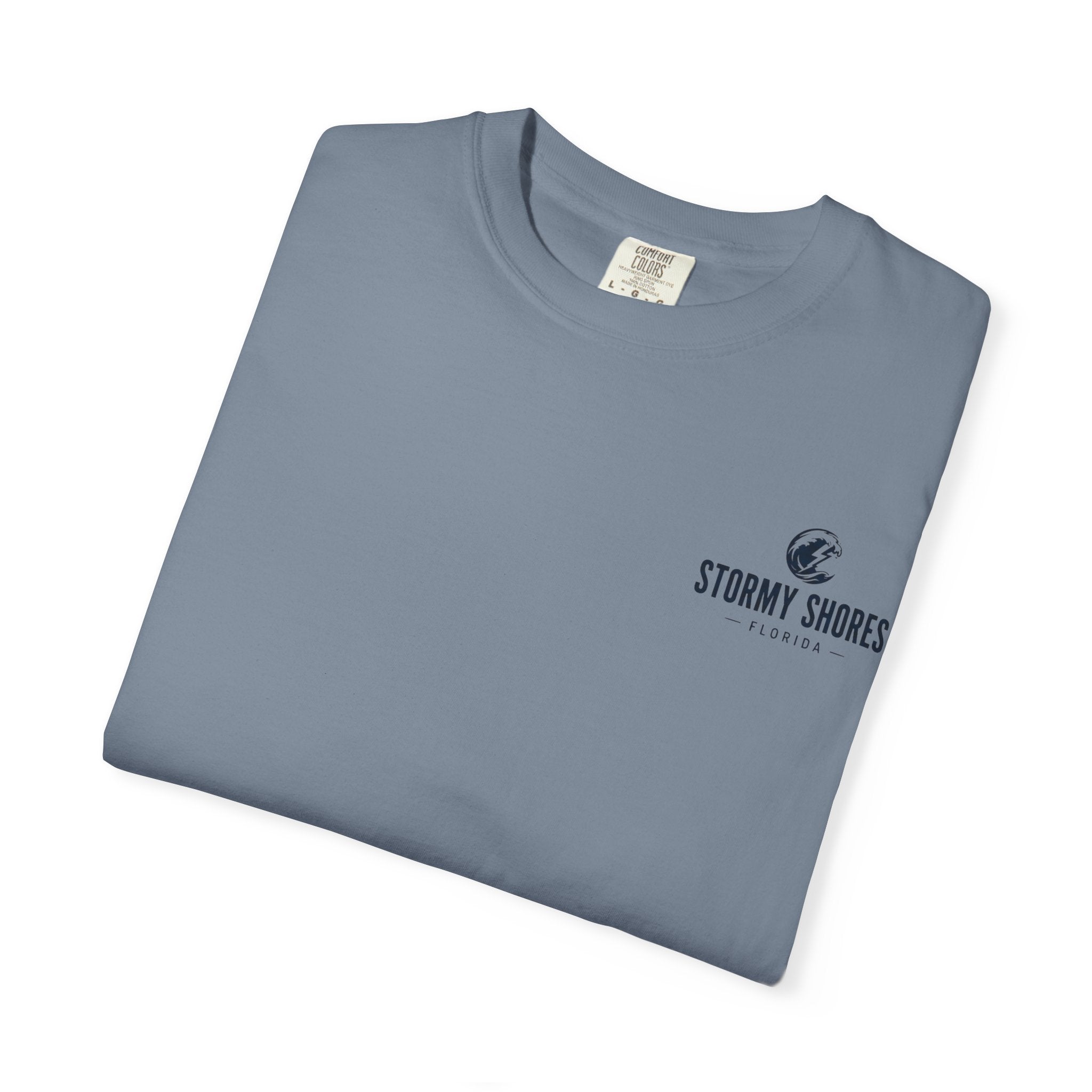 Weather the Storm T-Shirt — Eagle Over Stormy Seas Graphic Tee