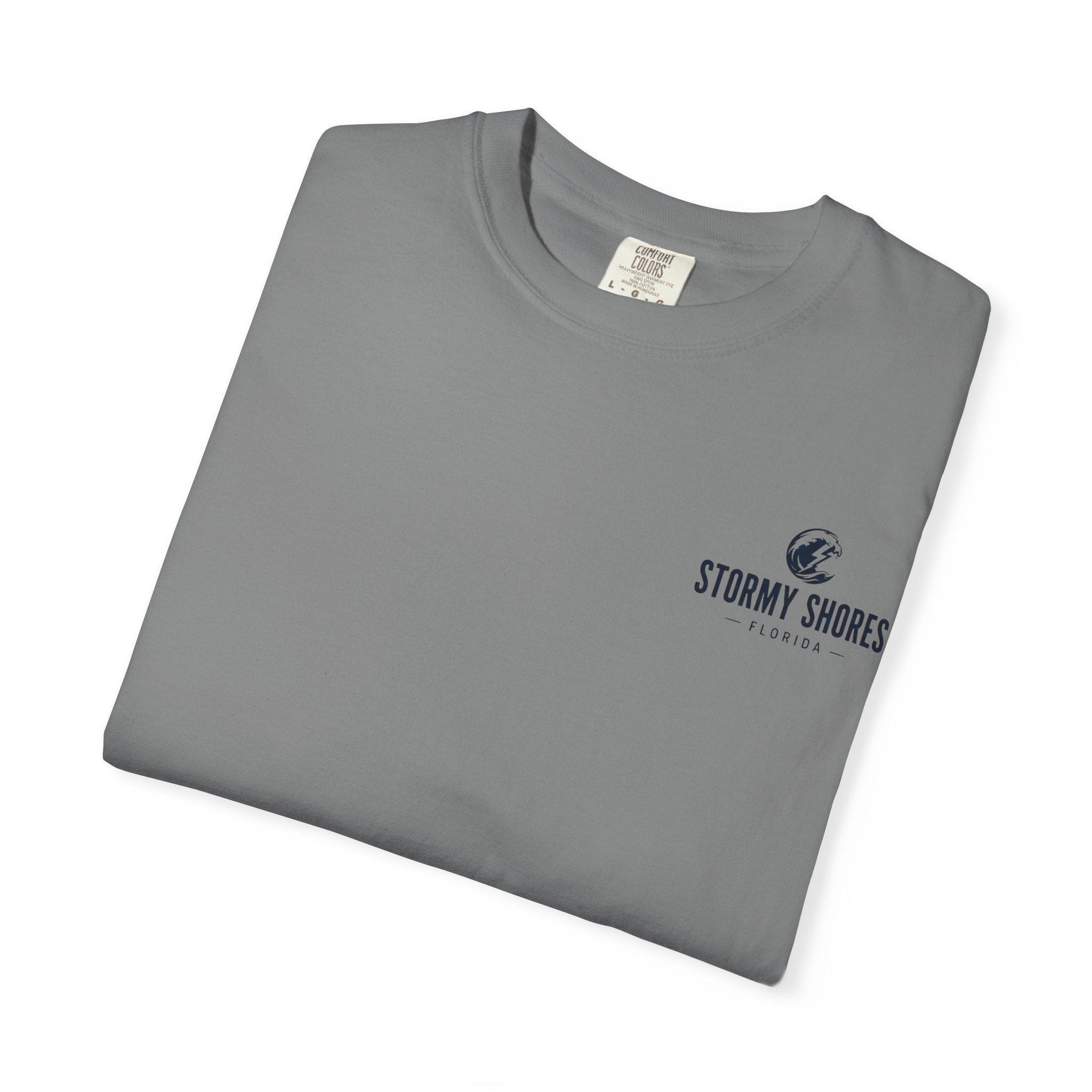Weather the Storm T-Shirt — Eagle Over Stormy Seas Graphic Tee
