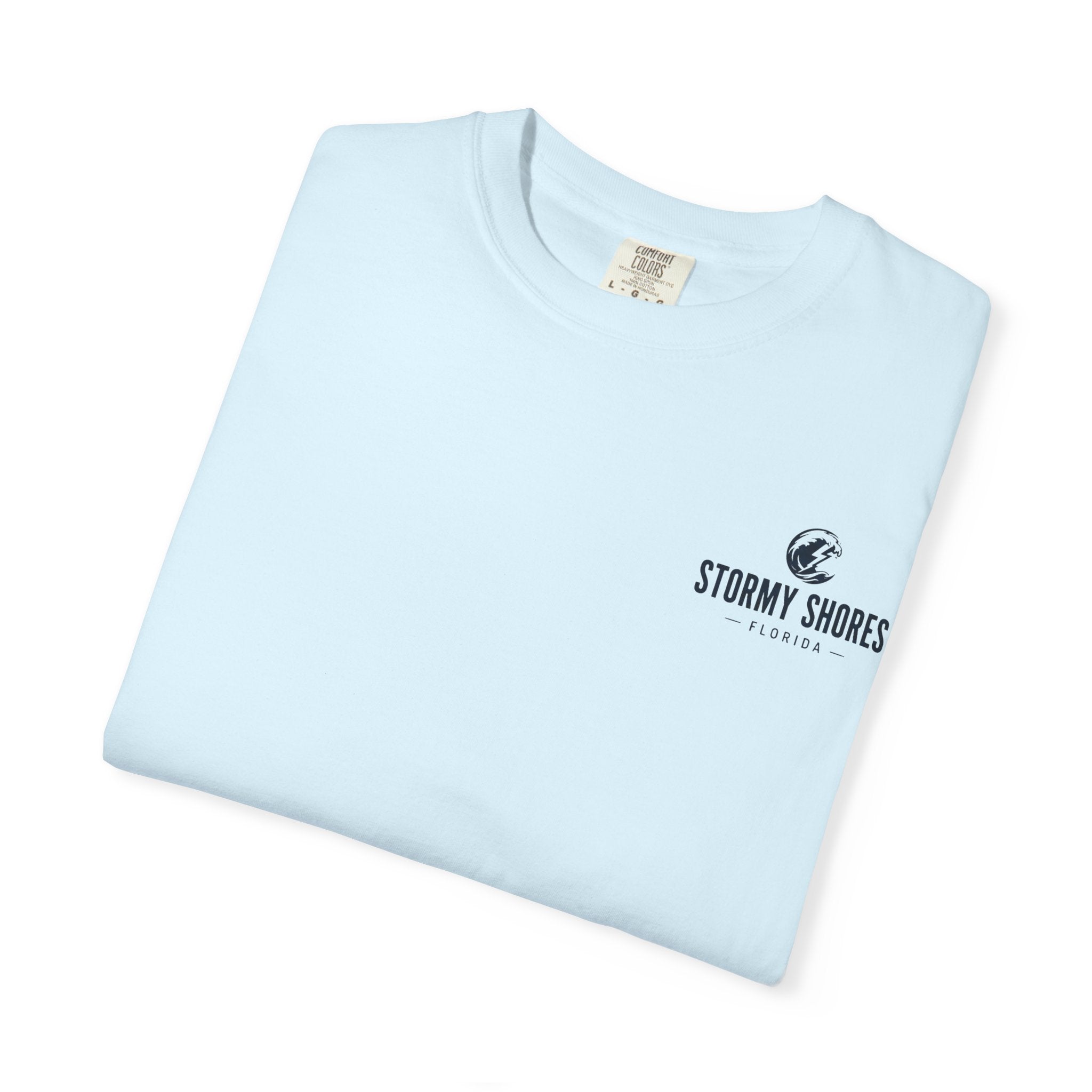Weather the Storm T-Shirt — Eagle Over Stormy Seas Graphic Tee